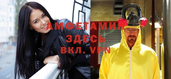 прущие грибы Бородино