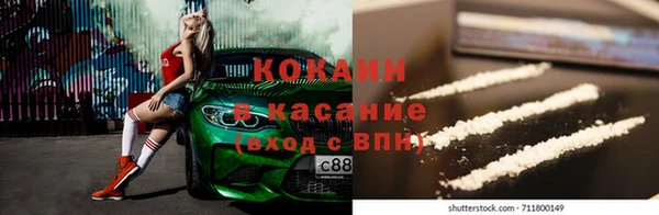 дживик Бронницы