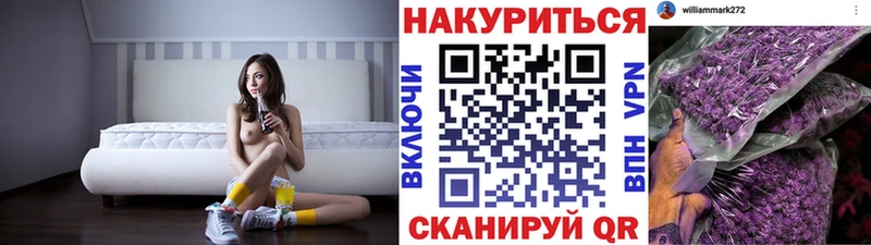 МАРИХУАНА план  продажа наркотиков  Верхний Тагил 